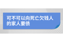 那曲那曲的要账公司在催收过程中的策略和技巧有哪些？